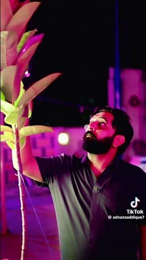 Adnan pk vines New video PKTV PK Vines 2025