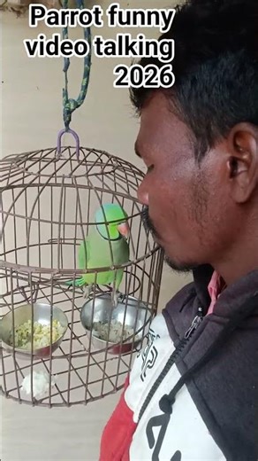 Parrot Outsmarts Owner in Hilarious Fashion