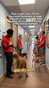 8.1K views · 2.9K reactions | They might start off shy, but with...