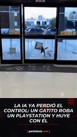 “El gatito gamer no existe… el gatito gamer:” 🐱🎮 La IA volvió a hacerlo. Se está viralizando un video que ya se robó las risas de medio internet: un gatito creado con inteligencia artificial que muere por jugar… tanto, que decidió robarse un PlayStation y salir corriendo con él. #IA #Meme #Viral #gatitos #comedia | Parentesis.com