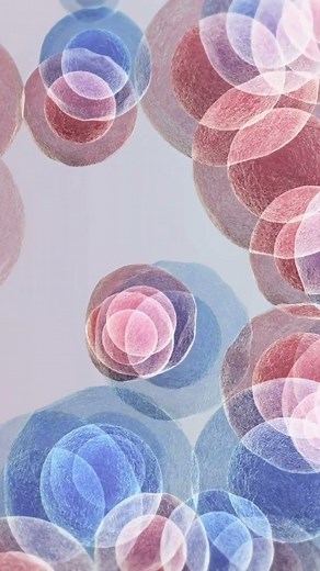 What is a stem cell?