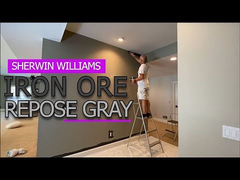 Iron Ore (SW 7069) & Repose Gray (SW 7015) by Sherwin Williams