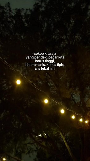 Beautifully Lit Tree Scene for Relaxation