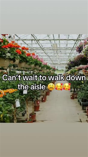 It’s almost spring time plant lovers 🥰🥰🥰 #momsoftiktok #gardening #springtime