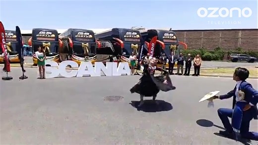 El Dorado renueva su flota y reafirma su liderazgo en transporte interprovincial 😎 Expreso Interprovincial El Dorado S.A.C. presentó en Trujillo su nueva flota de seis buses Scania con carrocería Marcopolo G8, reforzando su compromiso con la seguridad, puntualidad y confort de sus pasajeros. Los modernos vehículos, equipados con asientos sofá cama de 160°, operarán en rutas que conectan Trujillo, Chiclayo, Lima, Huaraz, Caraz, Paiján, Casa Grande, Chocope, Zaña y Cayaltí, entre otras. Durante l