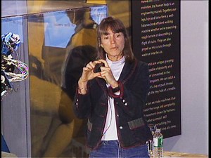 The Brain Basis of Human Vision