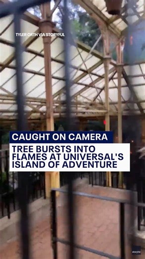 CAUGHT ON CAMERA: A tree caught on fire at Universal's Islands of Adventure this week as thunderstorms passed by. Parkgoers waiting in line for Harry Potter and the Forbidden Journey were evacuated after the fire started. | FOX 13 News - Tampa Bay