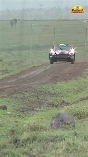 Two Datsuns and a Porsche, the perfect trio 🏎💨 . #eastafricansafariclassic #twendeclassic #classicsafari #safarilife #datsun260z #porsche911 #kenya | East African Safari Classic Rally