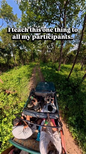 Ratish | Wildlife Photographer on Instagram: "At ecotrailz™ one thing we always work with our participants is on understanding how to shape & play with light. We were in Tadoba Andhari Tiger Reserve on a private guided monsoon photography workshop when this unforgettable moment happened. The Y Mark Male, a massive, dominant tiger, started walking straight towards us through a narrow forest trail. The light was soft and scattered, filtering through the canopy at about a 45° angle. It created beau