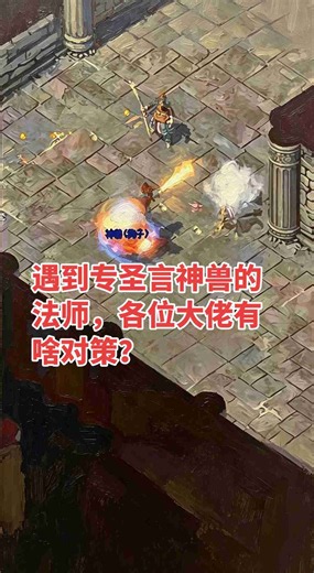 遇到专圣言神兽的法师，各位大佬有何对策？