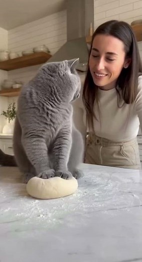 Cats Are So Done With Humans | Cat slap 🤣