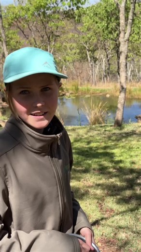 Discovering Emus: Feeding and Fun Facts