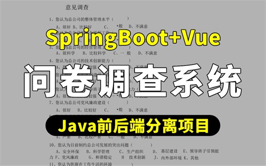 【Java项目】SpringBoot Vue前后端分离项目-问卷调查系统_Java毕设项目_练手项目_课程设计_Java大作业