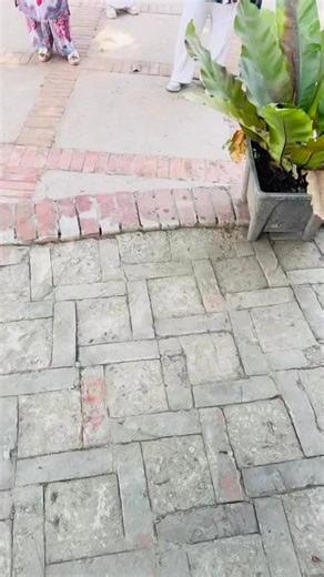 শিরায় শিরায় রক্ত আমরা দেবদার ভক্ত 😭❤️ #reelsvideoシ #friends | Rubada Tabassum