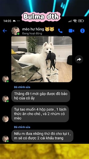 con mèo này nó lạ lắm