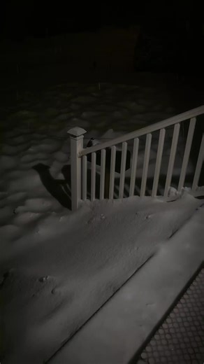 Exploring the Impact of Life Choices in Mexico