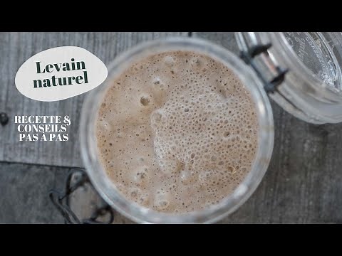 Natural sourdough recipe step by step in video (recipe and tips)