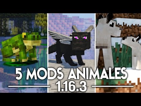 5 MODS de ANIMALES para MINECRAFT 1.16.1 🦁🐸