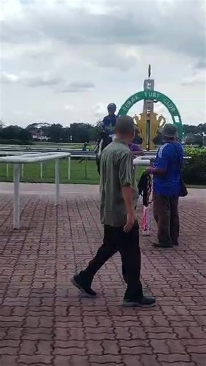 Stephen Cook on Reels