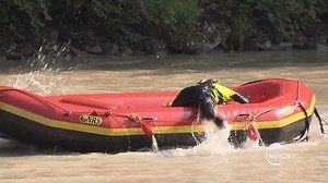 1.3K views · 36 reactions | Watch our department take part in "swift water rescue" training as part of the Pierce County Metro Dive Team. Being part of the larger team means Tacoma community members benefit from having a resource more capable than any one department could provide. | Tacoma Police Department | Facebook