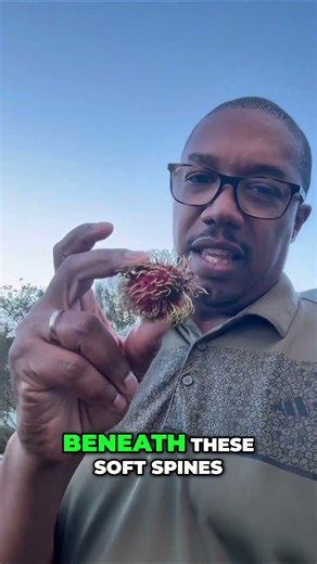 The Fruit That Looks Alien 👽 (But Tastes Amazing!)