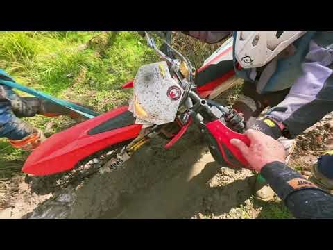 Ashley forest “smoker run” - the bog of doom!