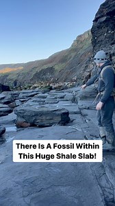 350K views · 2.2K reactions | Here is a naturally spherical stone...