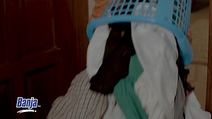 16K views · 192 reactions | Banja Washing Powder is not only a family detergent; it restores your white fabrics to their brightness and leaves them smelling fresh as ever. Thinking how to conquer that pile of laundry? Banja is your answer. It's found in all leading retail outlets countrywide. Get your pack today! #BanjaWashingPowder #TradeKings | Trade Kings Group | Facebook