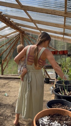 Nicolle on Instagram: "I can’t wait to see this green house transform into a jungle. 殺"