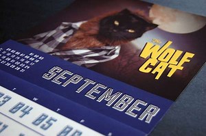 Costumed Feline Calendars