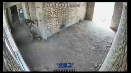 🇨🇳 China trains with robo dogs for close urban combatImagine a smoke bomb, then a robodog with a gun running out of it and blasting at you.