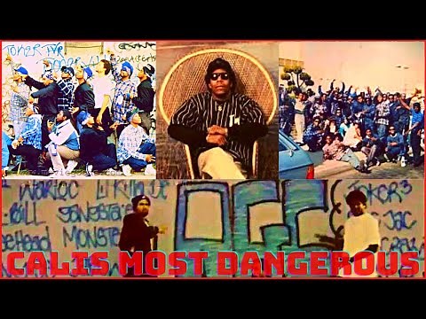 Who are the Avalon Gangster Crips?| The story of one of the oldest & notorious Crip gangs in LA