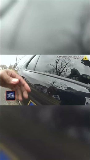 SWAT footage captures a intense pursuit and high-stakes arrest.