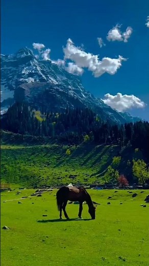 Top 10 Places to Visit in Kashmir | Travel Tips & Hidden Gems