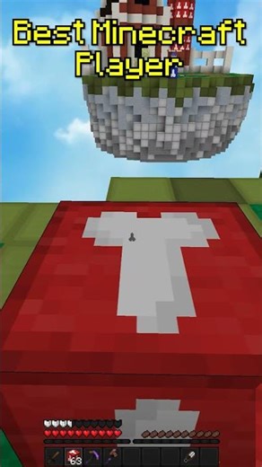 Minecraft Speed Telly Bridge