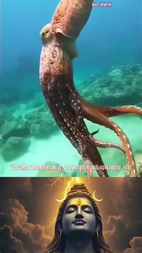 Dangerous Octopus Truth ⚠️ | BD PANCHAL Bhakti Motivation