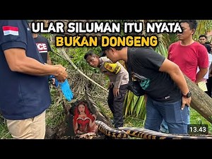 A DRAGON WITH A HUMAN HEAD WAS FOUND, THIS VIDEO IS THE PROOF