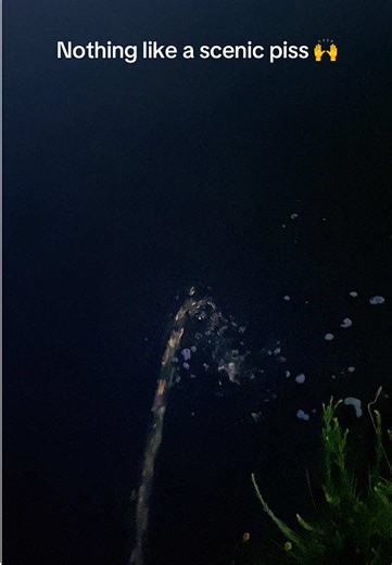 Relaxing Scenic Moments to Savor