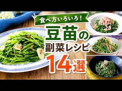 【節約＆時短】安くて旨い！豆苗で作る神副菜レシピ14選【レンジ調理/お弁当/おつまみ】