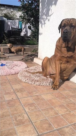 aquí soportando a mi hermano mayor que está bien parlanchín hoy 👀 mientras me recargo en el sol 😎
