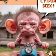 Никита Никитин - 14 лет на Мой Мир@Mail.ru