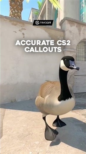 Accurate CS2 Callouts
