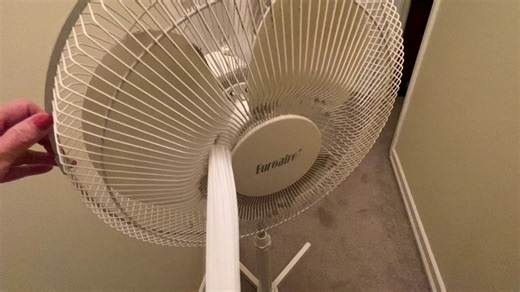 Hurricane Dust Lizard | Does It Really Work?