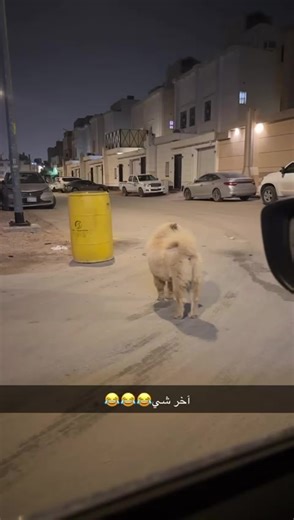 استكشف القصيم: مناطق بريده وعنيزة والرياض