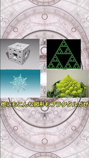 1次元と2次元の狭間⁉フラクタルとは #shorts #ゆっくり解説 #雑学 #数学 #フラクタル #幾何学