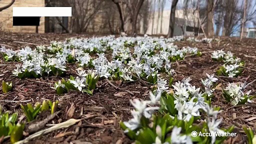 Spring is here! What exactly is the vernal equinox?