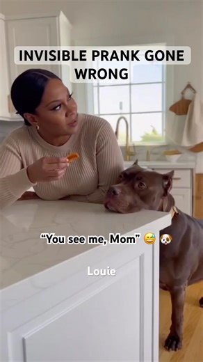 Auntie vs Louie | Lisa tries the Invisible Prank on Louie 😂🐶