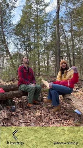 Can an algorithm give you what a tree can?