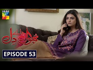 Bhool Jaa Ay Dil Episode 53 HUM TV Drama 27 January 2021