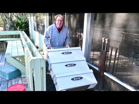 Taking a Massive Risk on a Modern Comic Book Collection worth Thousands | Comic Book Vlog